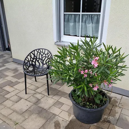 Wagner Mit Terrasse Und Kinderspielplatz * Küps